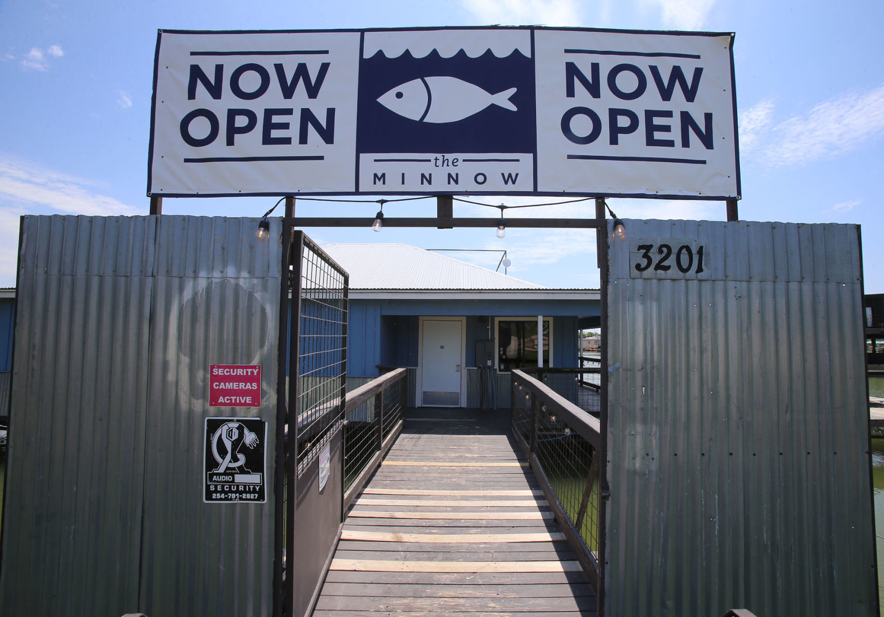 Minnow
